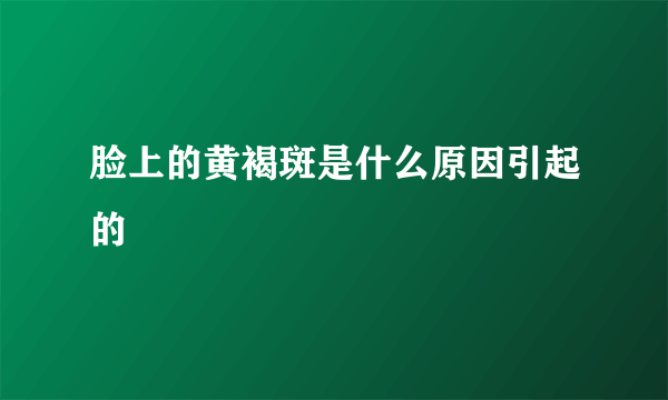 脸上的黄褐斑是什么原因引起的