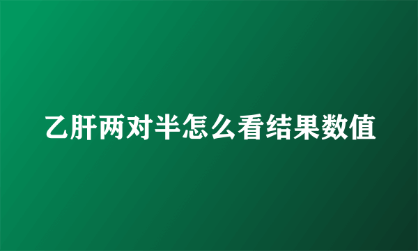 乙肝两对半怎么看结果数值