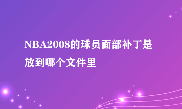 NBA2008的球员面部补丁是放到哪个文件里