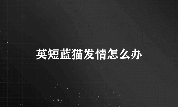 英短蓝猫发情怎么办