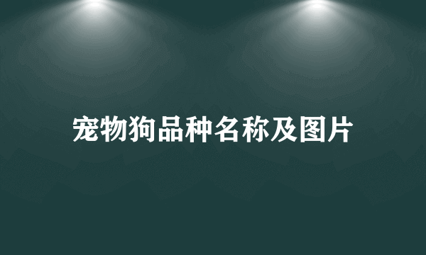 宠物狗品种名称及图片