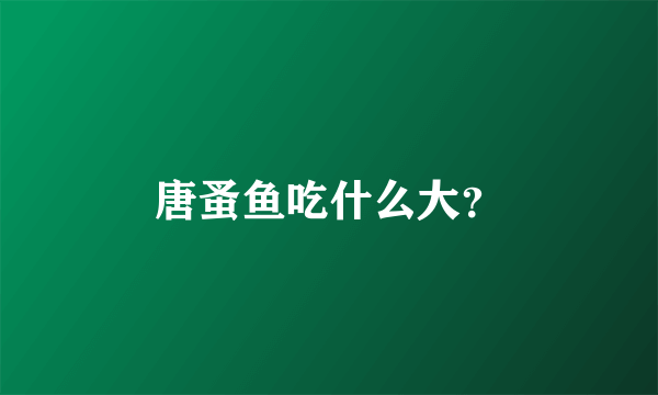 唐蚤鱼吃什么大？
