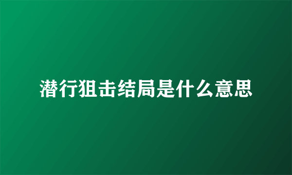 潜行狙击结局是什么意思
