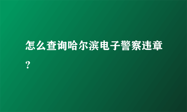 怎么查询哈尔滨电子警察违章？