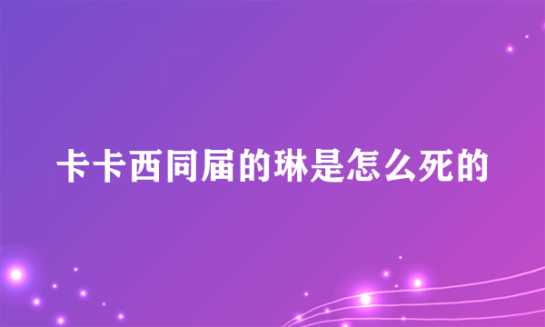卡卡西同届的琳是怎么死的