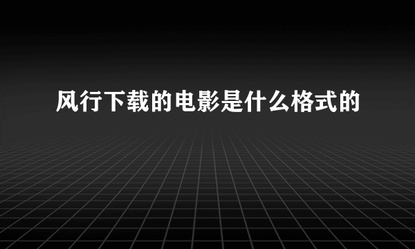 风行下载的电影是什么格式的