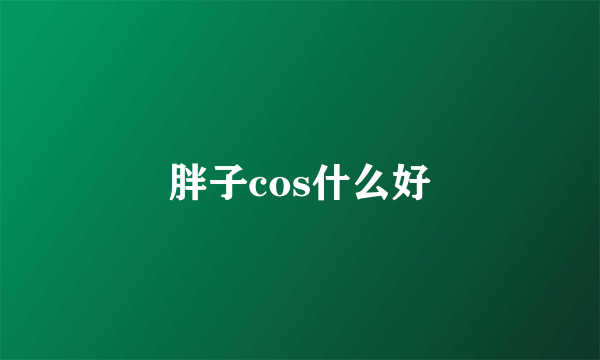 胖子cos什么好