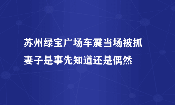 苏州绿宝广场车震当场被抓 妻子是事先知道还是偶然