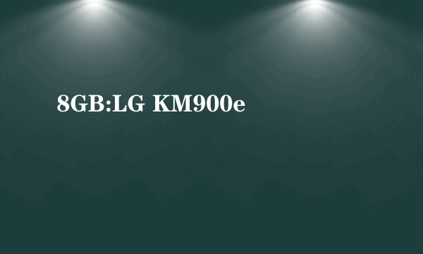 8GB:LG KM900e