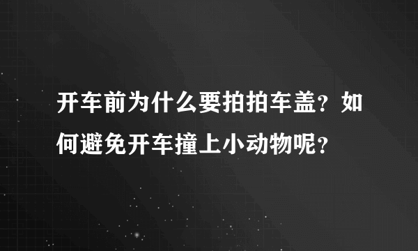 开车前为什么要拍拍车盖？如何避免开车撞上小动物呢？
