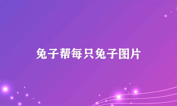 兔子帮每只兔子图片