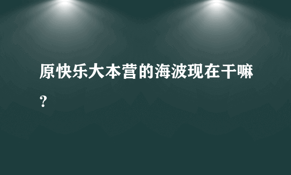 原快乐大本营的海波现在干嘛？