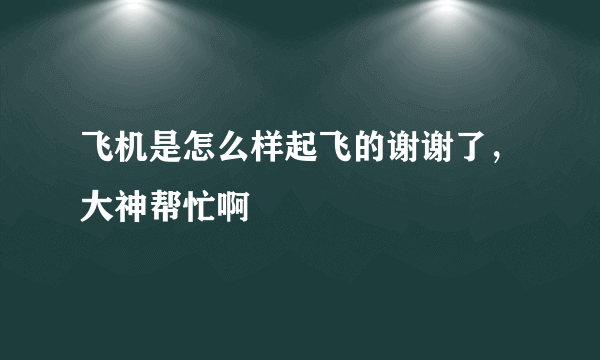 飞机是怎么样起飞的谢谢了，大神帮忙啊