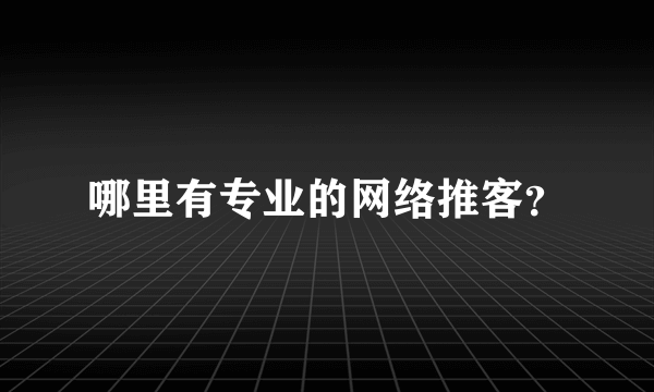 哪里有专业的网络推客？