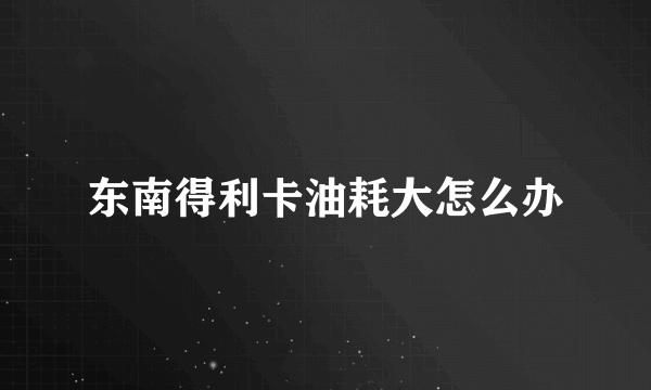 东南得利卡油耗大怎么办