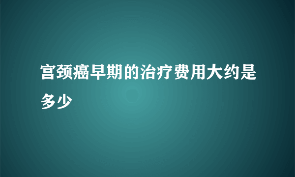 宫颈癌早期的治疗费用大约是多少