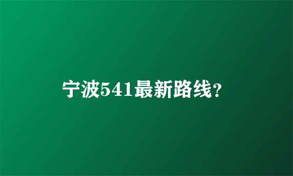 宁波541最新路线？