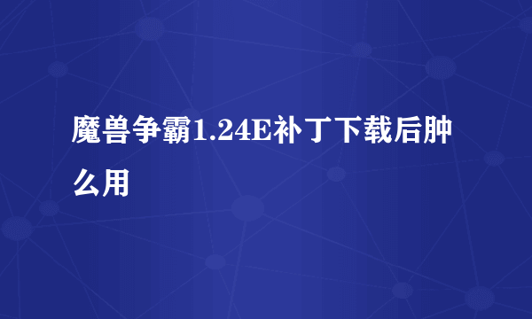 魔兽争霸1.24E补丁下载后肿么用