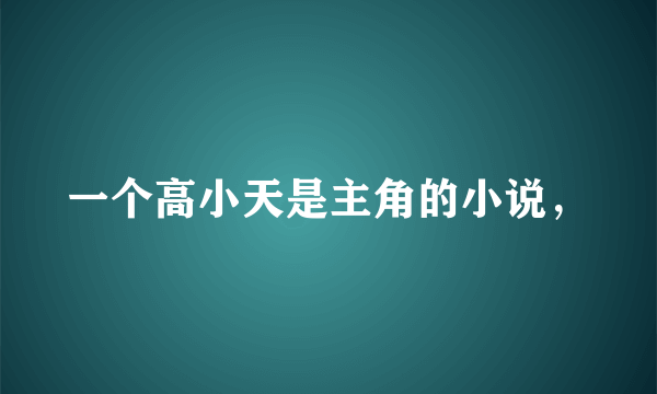 一个高小天是主角的小说，