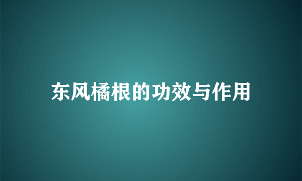 东风橘根的功效与作用