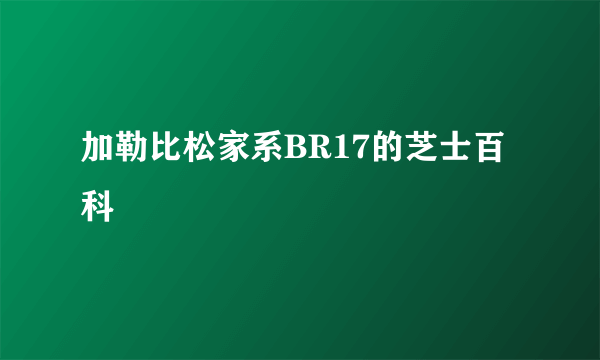 加勒比松家系BR17的芝士百科
