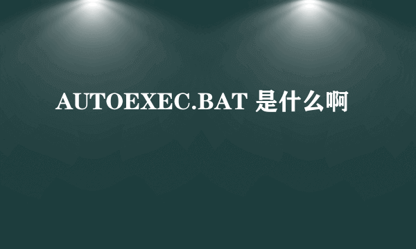 AUTOEXEC.BAT 是什么啊