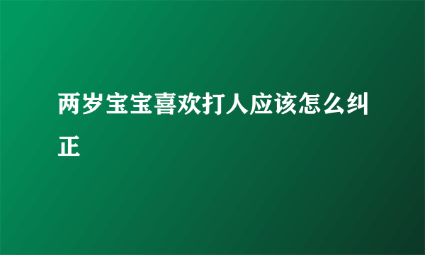 两岁宝宝喜欢打人应该怎么纠正