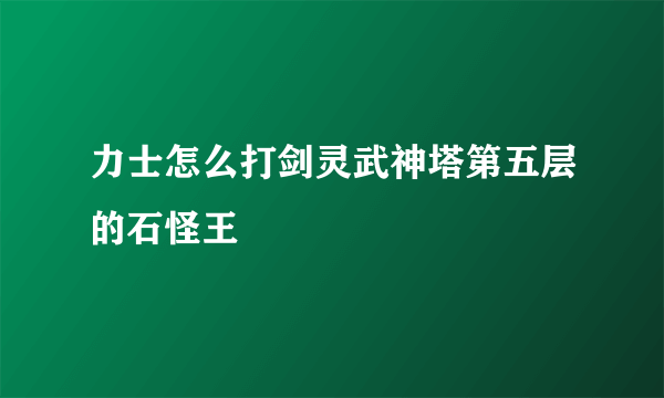 力士怎么打剑灵武神塔第五层的石怪王