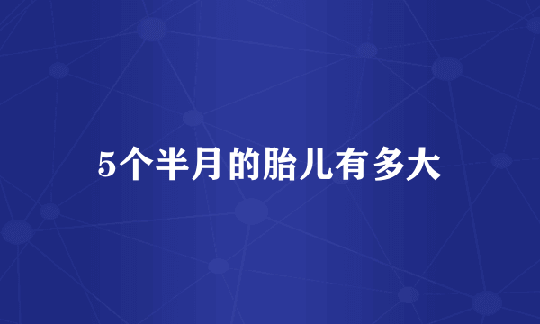 5个半月的胎儿有多大